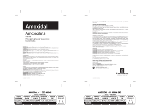 Amoxidal - Roemmers