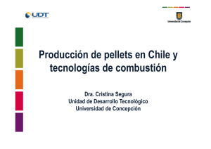Producción de pellets en Chile y tecnologías de combustión