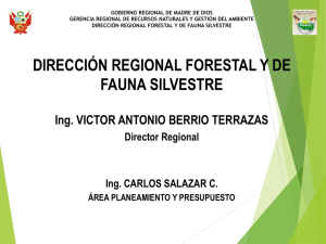dirección regional forestal y de fauna silvestre