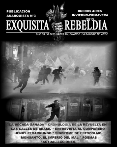 publicación anarquista n°3 la década ganada