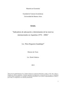 TESIS: “Indicadores de adecuación y determinantes de las reservas