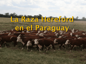 Herefort en el Paraguay
