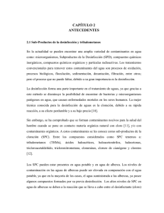 antecedentes - tesis.uson.mx