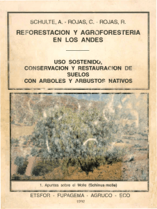 SCHULTE, A. - ROJAS, C. - ROJAS, R. REFORESTACION y AGR