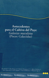 Antecedentes para el cultivo del Puye Galaxias maculatus (Pisces