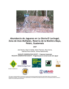 The comparative abundance of jaguars in La