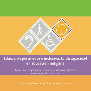 3. Discapacidad Intelectual - Educación Especial