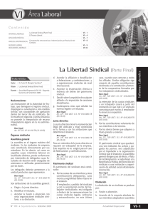 VI La Libertad Sindical (Parte Final)