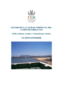 Plan de Calidad Ambiental del Campo de Gibraltar: Informe IV