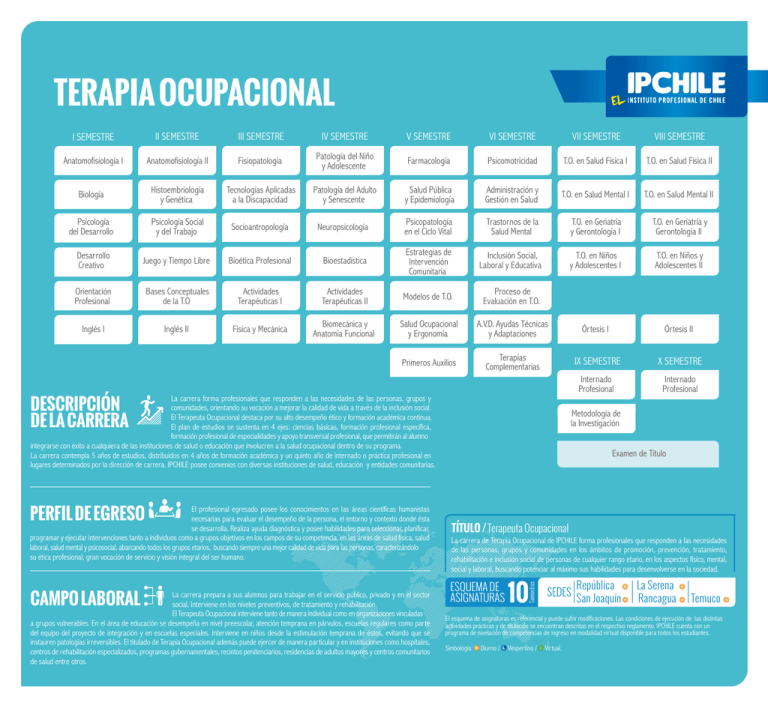 Terapia Ocupacional Instituto Profesional de Chile