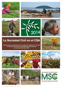 La Sociedad Civil en el CSA
