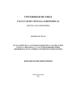 Tesis - Universidad de Chile