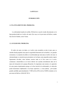 CAPITULO I INTRODUCCIÓN 1.1 PLANTEAMIENTO DEL