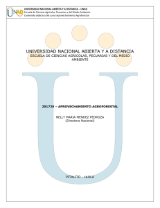 universidad nacional abierta ya distancia