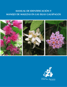 Manual de IdentIfIcacIón y Manejo de Malezas en las Islas galápagos