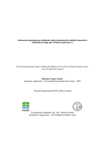 el documento (formato PDF) - Universidad de Buenos Aires