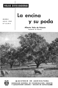 13/1959 - Ministerio de Agricultura, Alimentación y Medio Ambiente