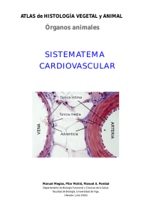 Sistema cardiovascular - Atlas de Histología Vegetal y Animal