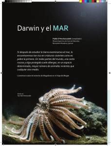 Darwin y el MAR