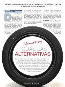 Neumáticos: De invierno, de galleta, más anchos, ecológicos