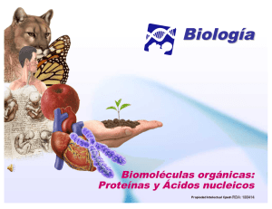 biomoleculas 2 - Liceo Bicentenario Talagante