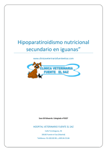 Hiperparatiroidismo iguanas - Hospital Veterinario Fuente el saz