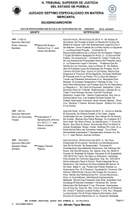 Visual FoxPro - Tribunal Superior de Justicia del Estado de Puebla