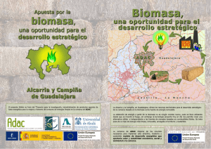 Biomasa, una oportunidad para el desarrollo estratégico