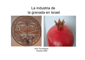 Industria del Granado, Israel 09