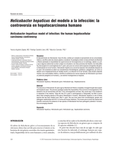 Helicobacter hepaticus del modelo a la infección: la controversia en