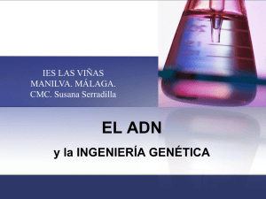 ADN e Ingeniería genética