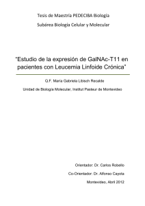 Estudio de la expresión de GalNAc-T11 en pacientes con Leucemia