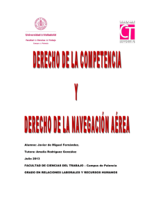 defensa de la competencia y derecho aereo