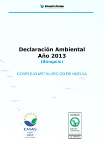 Resumen Declaración Ambiental 2013