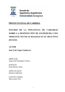 Memoria (spa) - Universidad de Zaragoza