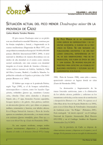 Dendrocopos minor EN LA - Sociedad Gaditana de Historia Natural