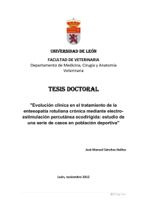 tesis doctoral - buleria