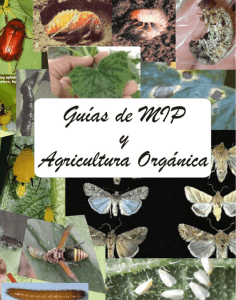 Cartillas MIP y Agricultura Orgánica
