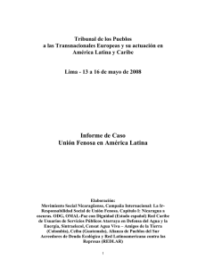 Informe de Caso Unión Fenosa en América Latina