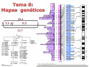 Mapas genéticos