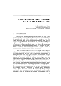 Orden jurídico y medio ambiente: las acciones de protección