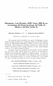 Monogenea (van Beneden, 1858) Carus, 1863 de peces marinos