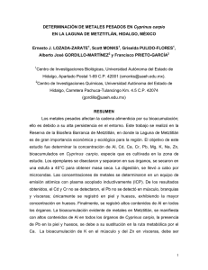 Lozada-Zarate-2006a - Universidad Autónoma del Estado de