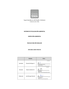 Informe de Fiscalización - SNIFA