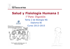 GTP_T2.Salud y fisiologia humanas I (Digestivo).Curso 2013-15