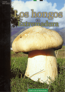 Los hongos en Extremadura.
