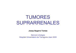 tumores suprarrenales