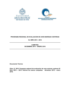 informe de avance diciembre 2015 enero 2016