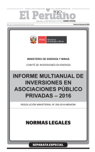 informe multianual de inversiones en asociaciones público