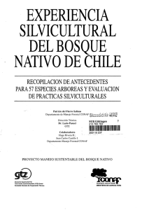 experiencia silvicultural del bosque nativo de chile